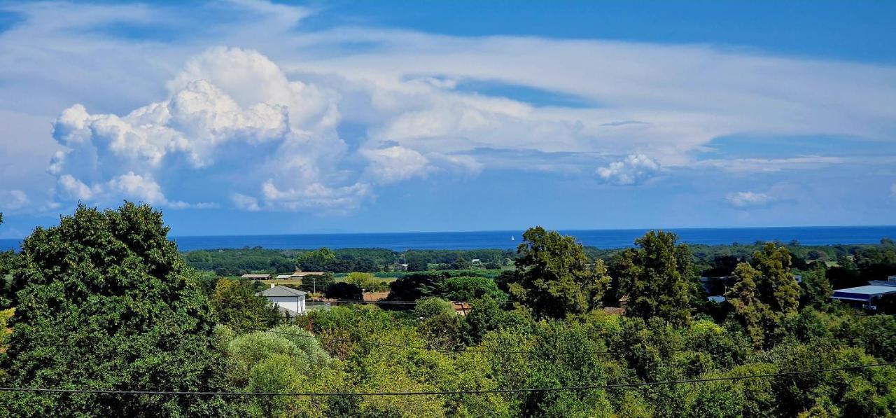 Villa Bistinetti Rez De Villa Tout Confort Avec Piscine Penta di Casinca Εξωτερικό φωτογραφία